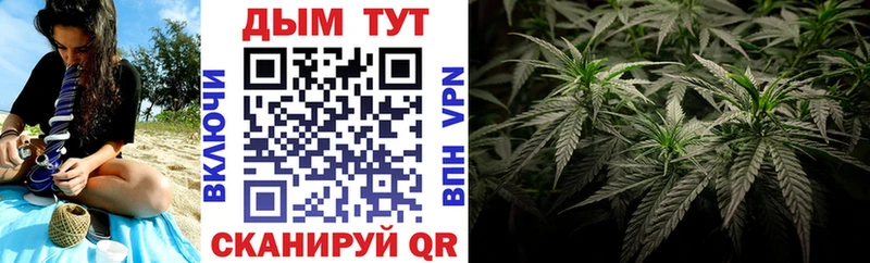 как найти Нижнеудинск Шишки марихуана планчик